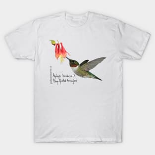 Ruby-Throated Hummingbird X Aquilegia Canadensis T-Shirt